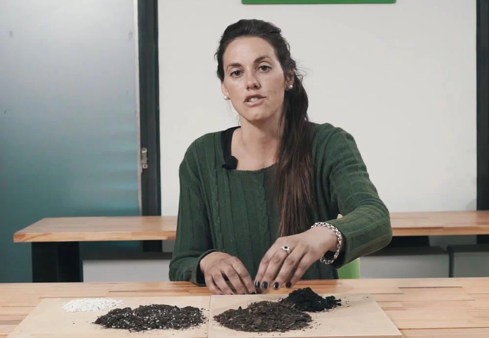 Clase práctica de jardines verticales y sustratos