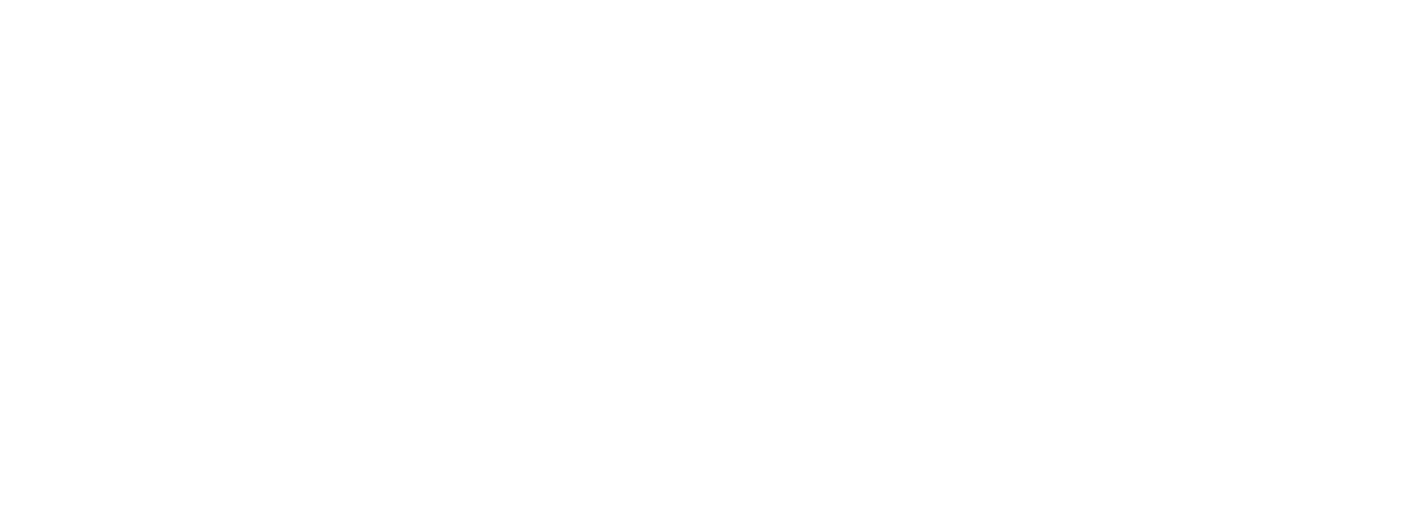 European Open Business School