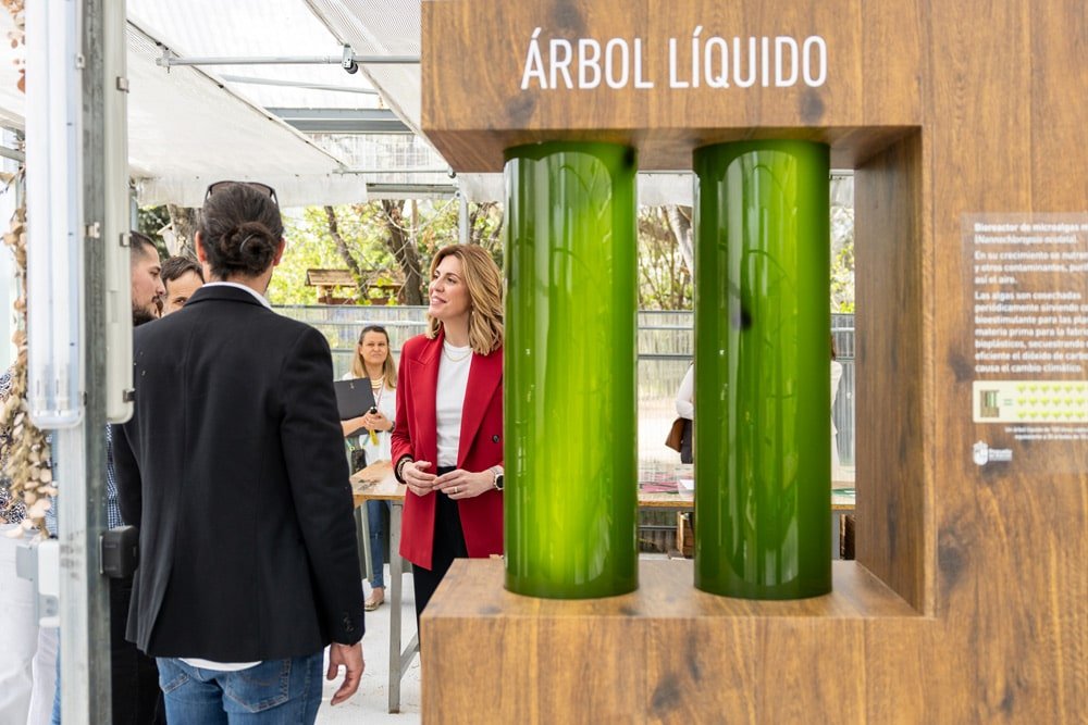 Construyendo ciudades sostenibles para el futuro. ¡Desafíos y soluciones!