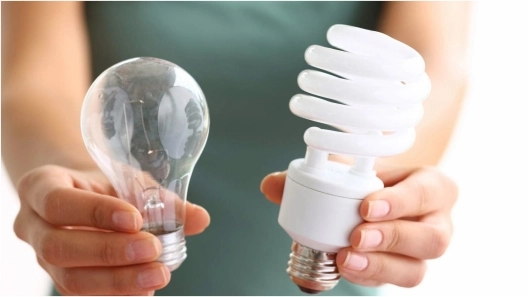 Reducir tu Huella de Carbono Diaria: 10 Consejos Prácticos