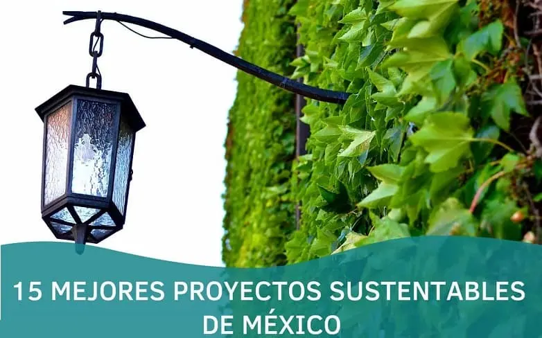 15 Mejores Proyectos Sustentables De México | Greentech